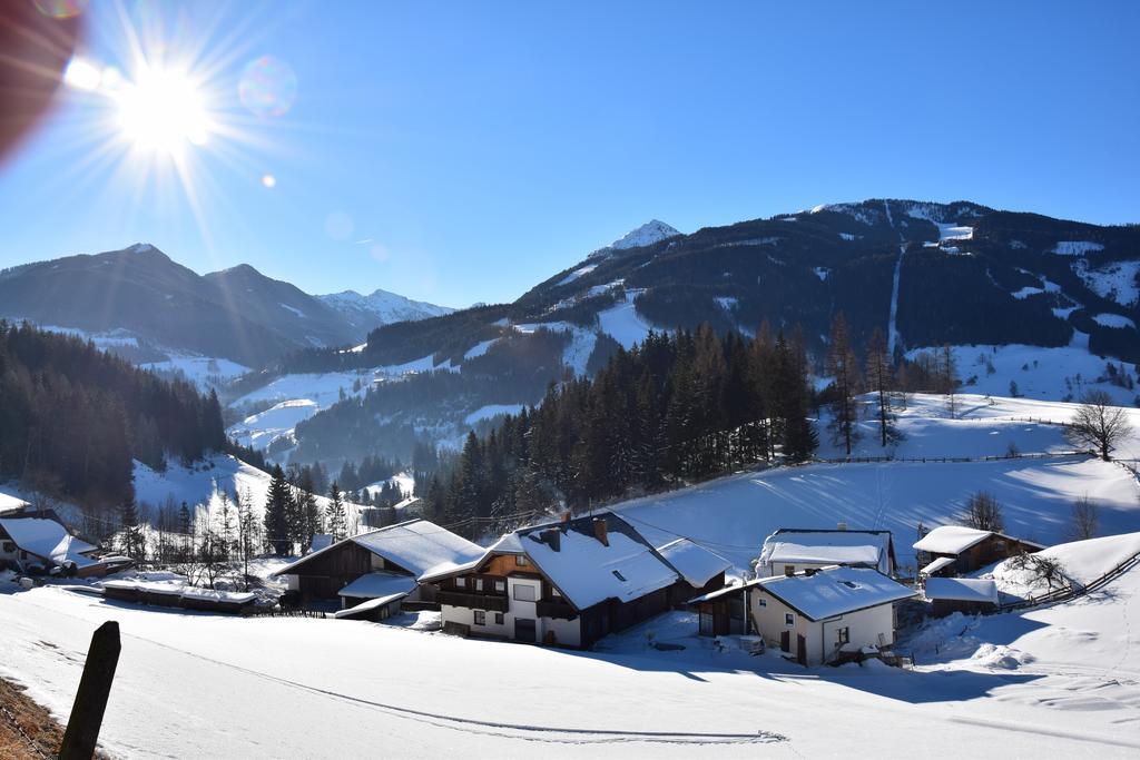 Apartment Obergruberhof Schladming Extérieur photo